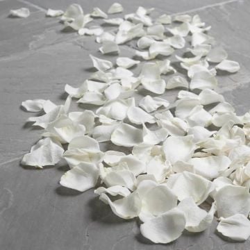 Beyaz Renk Gül Yaprakları Yapay Gül Yaprağı