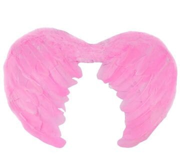 Pembe Renk Melek Kanadı